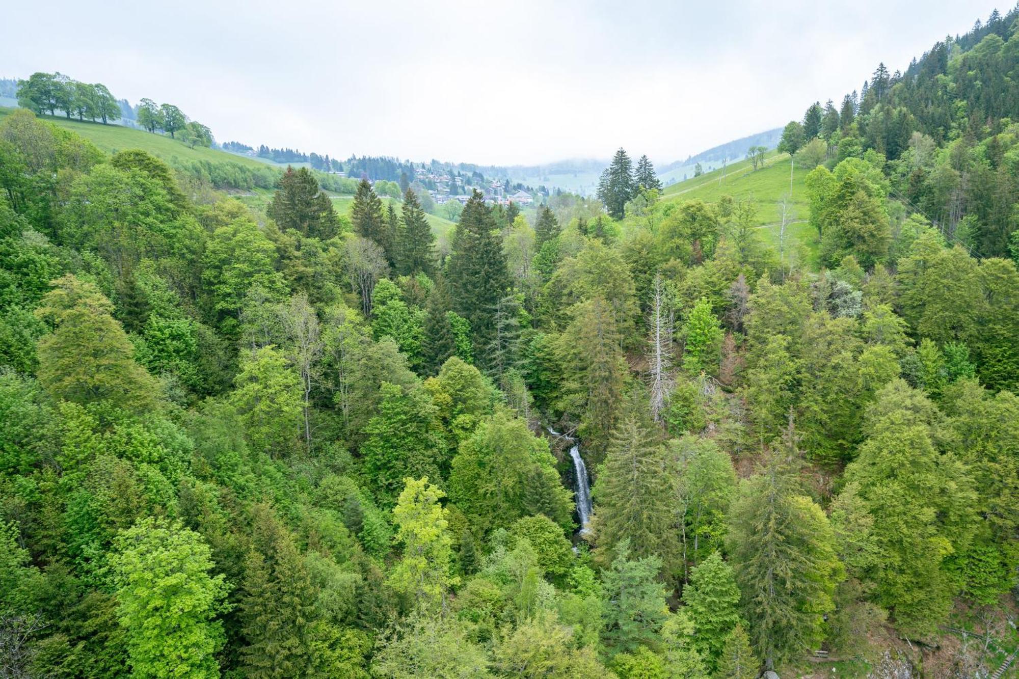 Black Forest Hotel Todtnau Kültér fotó